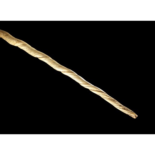 An Exceptional Narwhal Tusk of a Very Early Date